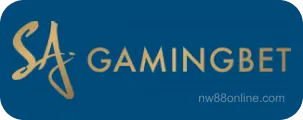 Gaming Bet - Đối tác cá cược thể thao NW88